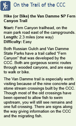 Description of hike at Van Damme State Park
